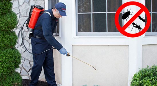 Köprübaşı Kene İlaçlama böcek ilaçlama ve haşere kontrolü — ilaclama-tr.com